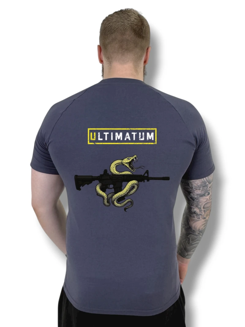 Футболка з back-принтом №17 ULTIMATUM Vector Графіт